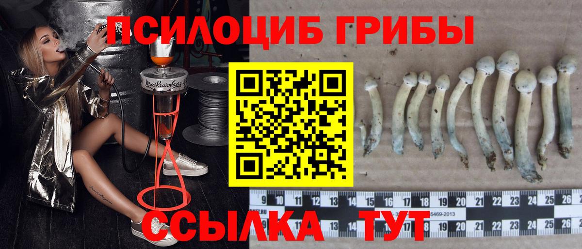 Псилоцибиновые грибы MAGIC MUSHROOMS Орск