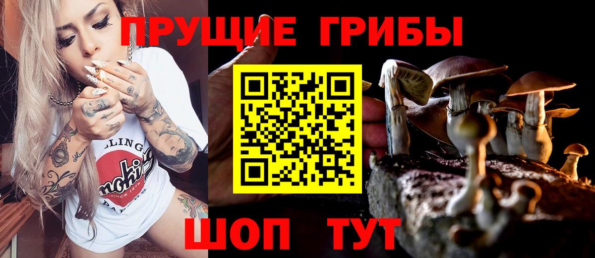 Псилоцибиновые грибы прущие грибы  Вход с VPN  Псилоцибиновые грибы Magic Shrooms  Орск 